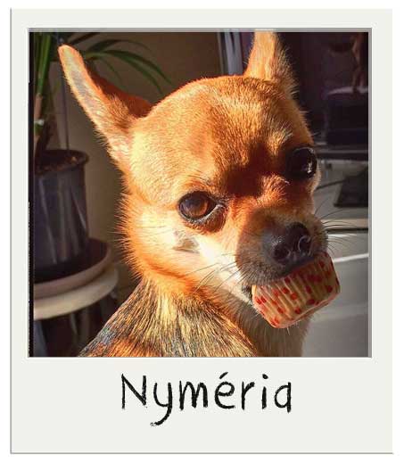 Nyméria